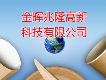 金暉兆?。恨D(zhuǎn)型升級的參與者、見證者和建設(shè)者